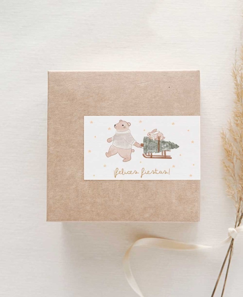 Pegatinas rectangulares para adornar regalos