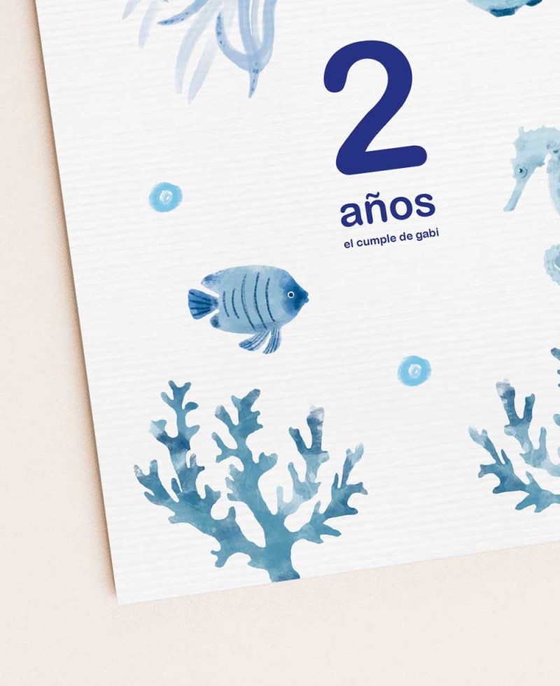 Zoom invitación cumple marinera