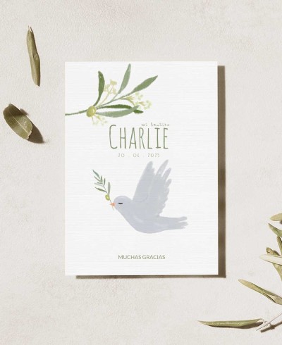 Lembrete para batismos de oliveira b6