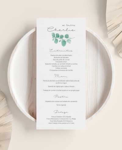 Verbale del battesimo dell'eucalipto