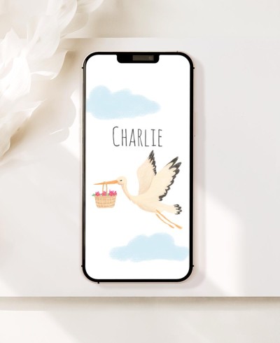 Digitale Einladung zur Taufe Storchhimmel
