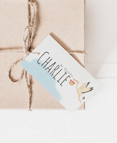 Etichette rettangolari per dettagli battesimo cicogna