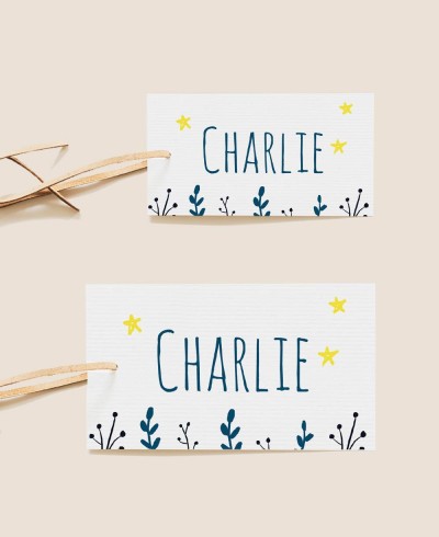 Etichette rettangolari dimensioni battesimo oceano