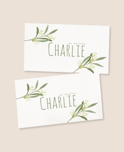 Adesivos retangulares para presentes de batismo botânicos oliveira