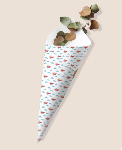 Christening cone clouds airplanes