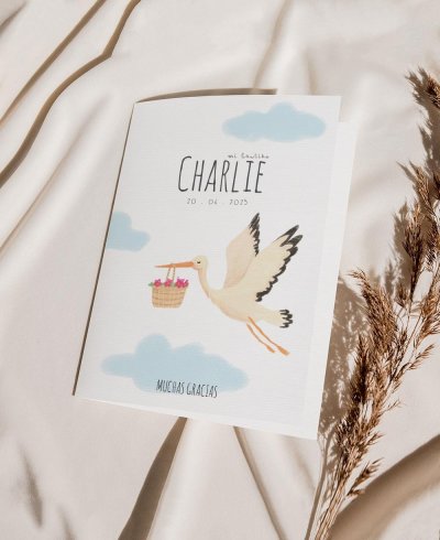 Cover thank-you christening animals stork