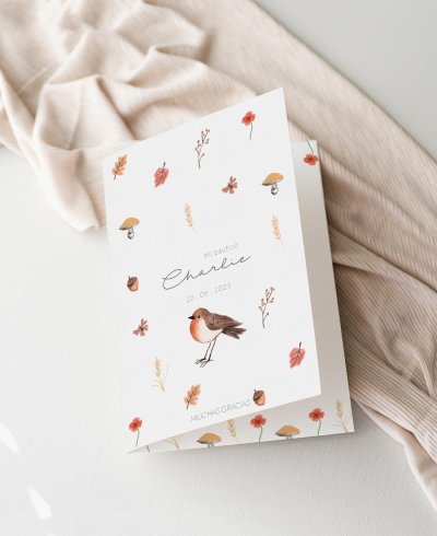 Couverture merci baptême animaux champ