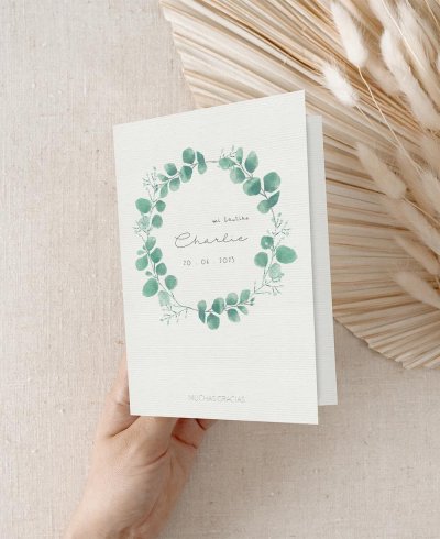 Capa de agradecimento ao batismo botânico de eucalipto