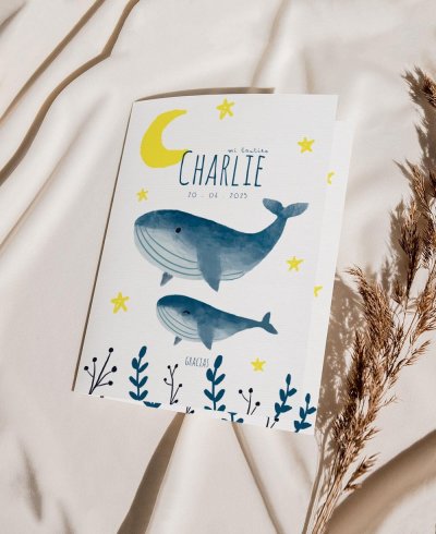 Convés obrigado pelo batismo marítimo oceano