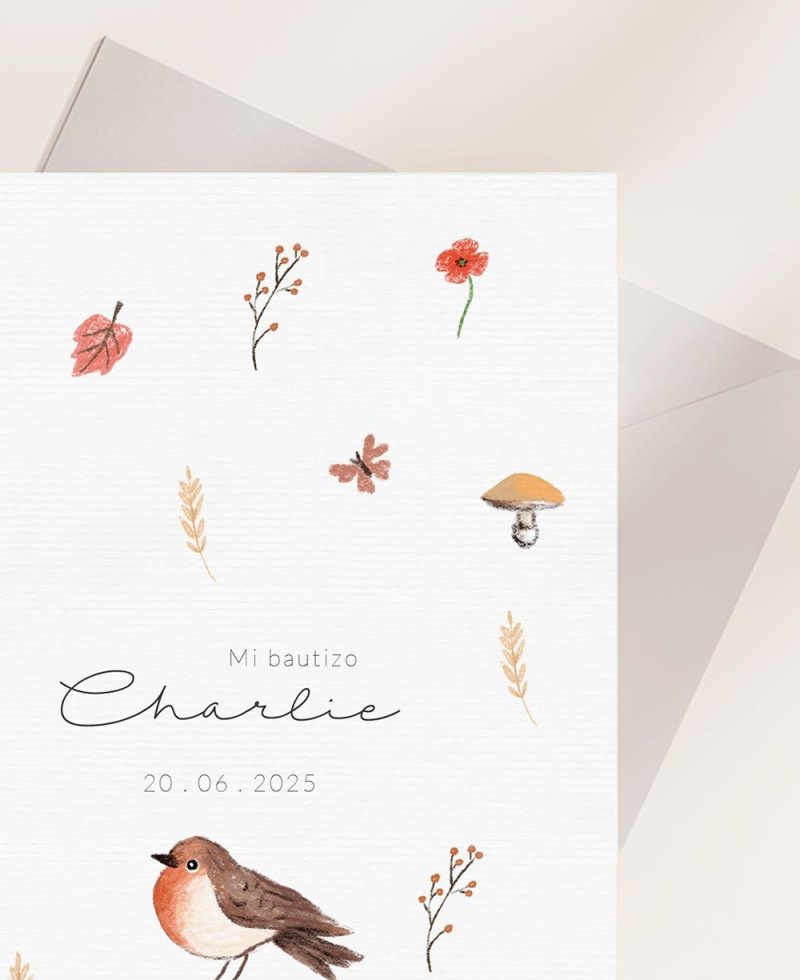 Lembrete de zoom campo de batismo de agradecimento