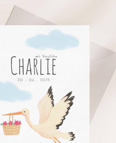 Lembrete de zoom obrigado cegonha de batismo