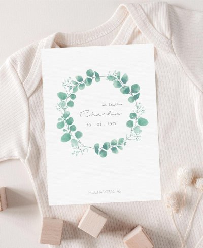 Capa de agradecimento ao batismo de eucalipto