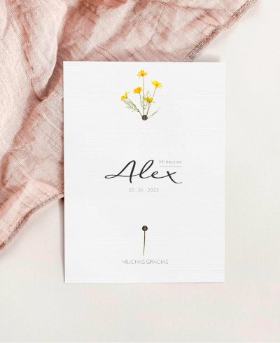 Deckung für die Taufe dank Gänseblümchen