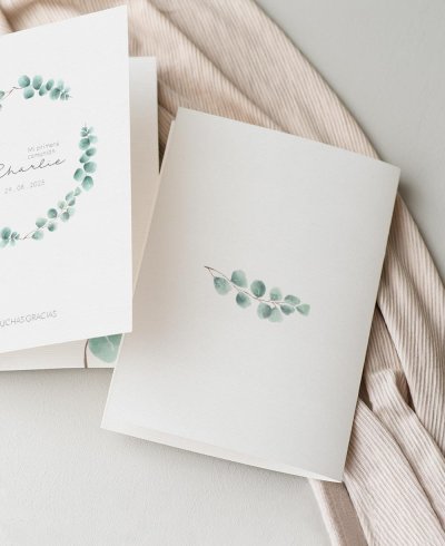 Rappel à l’eucalyptus pour la communion du dos