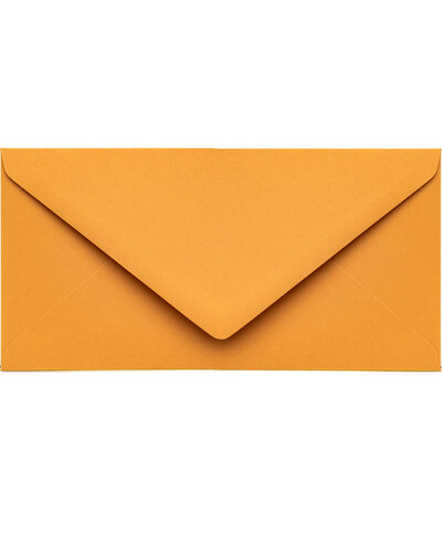 Envelope DL Branca de Neve Americana | Marmarina