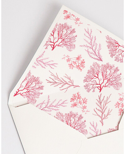 Envelopes with Coral Reef Lining | Marmarina