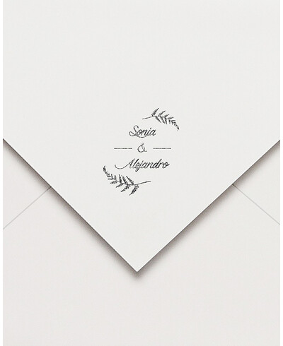 Guarnizione in gomma selvaggia | Marmarina