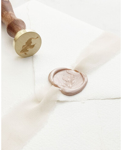 Focas de foca para peixes