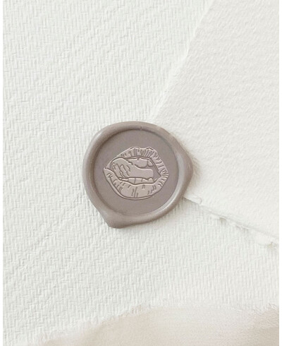 Sealing seal lips tongue