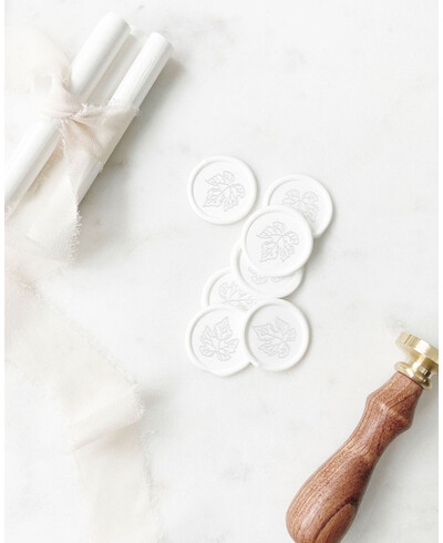 Guarnizioni di tenuta