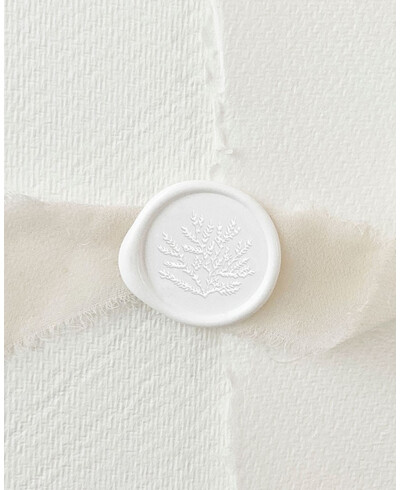 Selo de vedação de algas marinhas