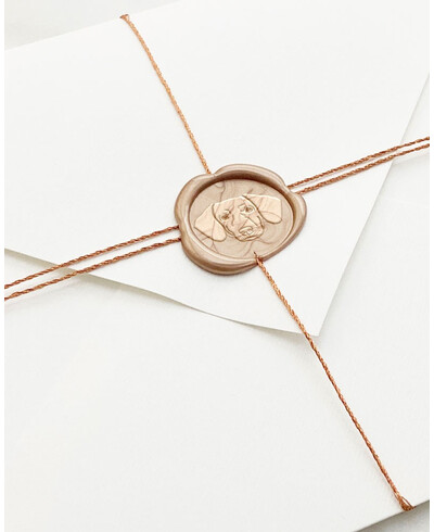 Dachshund on and twine