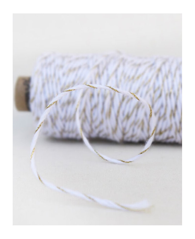 Corda em ouro branco