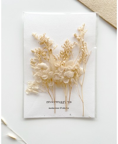 Selection of dried flowers in shades of sand beige