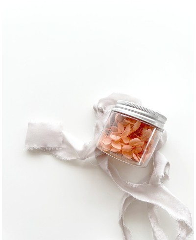 Jar dried flowers in coral color