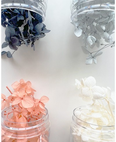 Blue, grey, coral and white preserved flowers